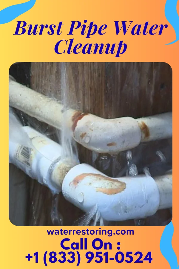 Burst Pipe Water Cleanup in Tiki Island, TX