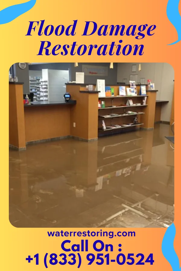 Flood Damage Restoration in Tiki Island, TX