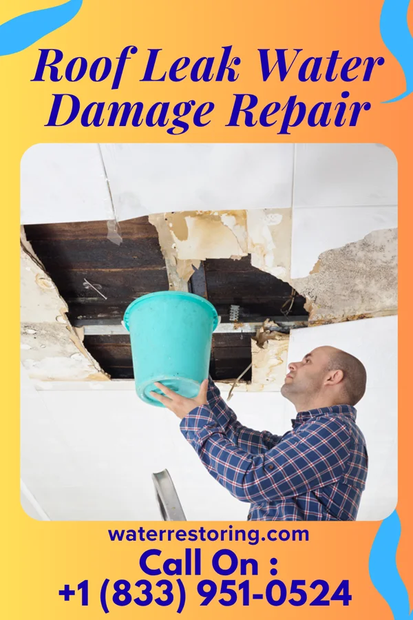 Roof Leak Water Damage Repair in Tiki Island, TX