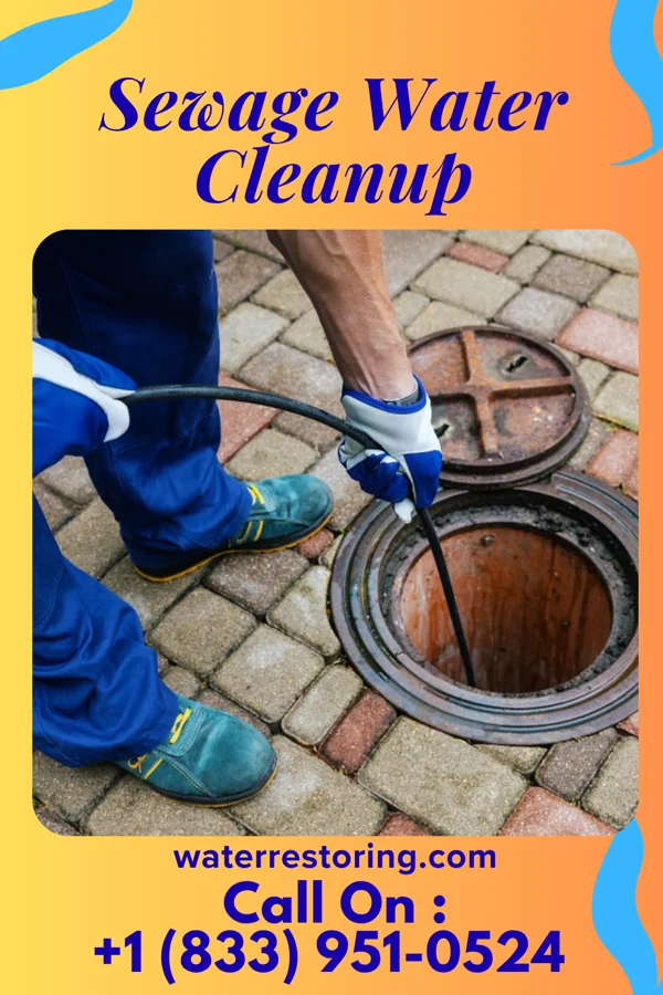 Sewage Water Cleanup in Tiki Island, TX